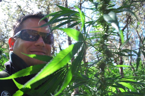An illegal cannabis plantation
Northern California
An illegal cannabis plantation
Northern California