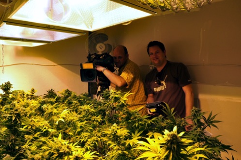 A medical cannabis grow
Oakland, CA
A medical cannabis grow
Oakland, CA